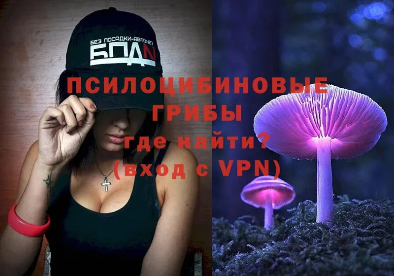 Галлюциногенные грибы Magic Shrooms  Копейск 